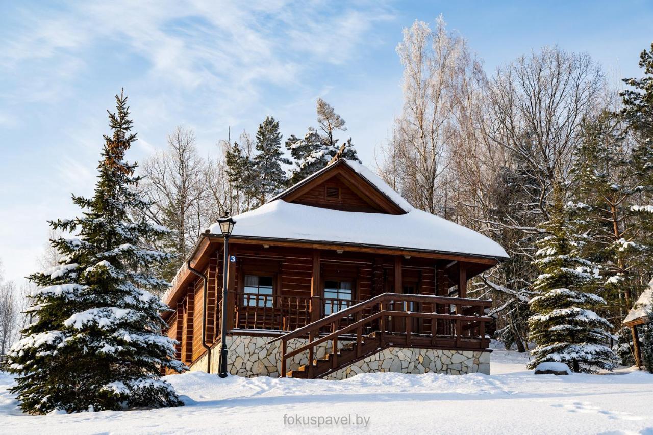 Ski Complex Logoysk Lahoysk Extérieur photo