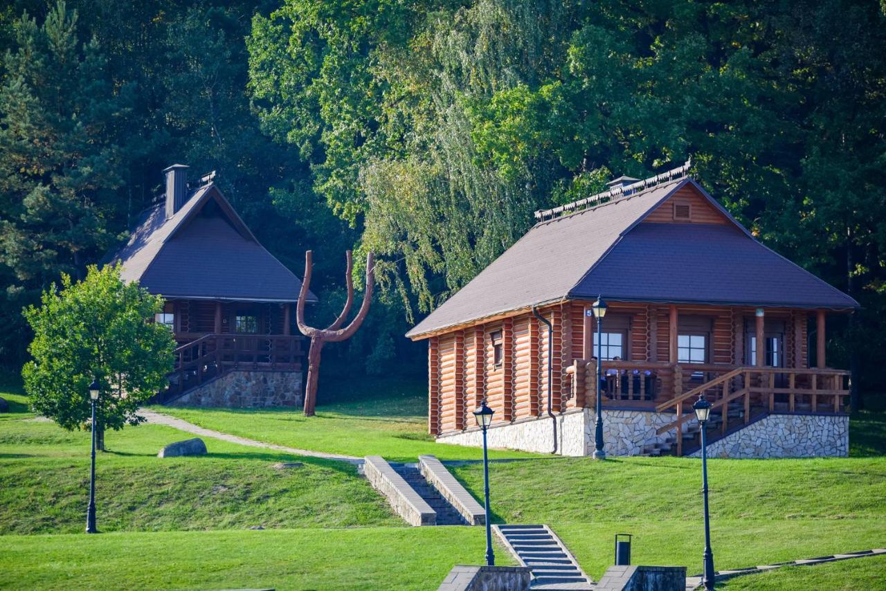 Ski Complex Logoysk Lahoysk Extérieur photo